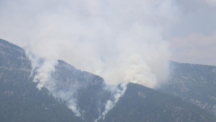 Alanya’da orman yangını
