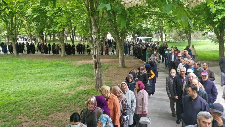 Domates fiyatı fırladı, vatandaş fide için kuyruğa girdi
