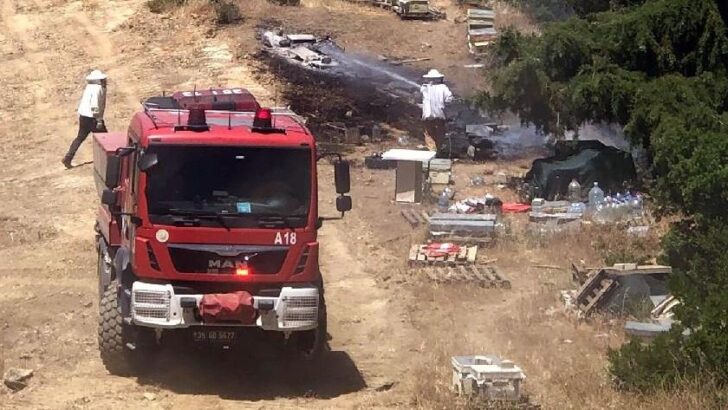 İzmir’de orman yangını