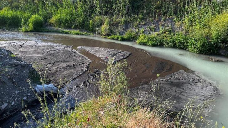 Soma’da Bakırçay deresi simsiyah akıyor