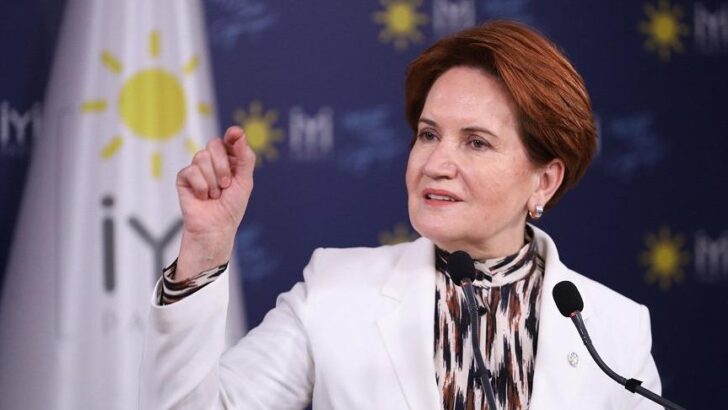 Meral Akşener: Erdoğan seçim kararı alsın adayımızı açıklayalım