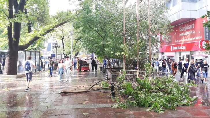 Ankara’da fırtına! Ağaçlar devrildi, adliyenin tavanı çöktü