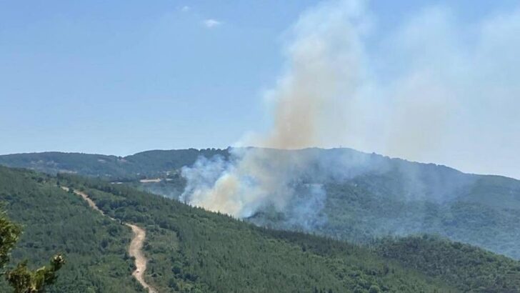 Çanakkale’de orman yangını