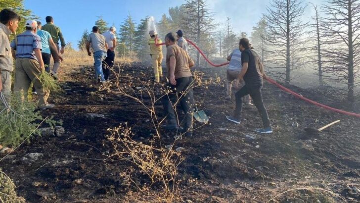 Elazığ’da orman yangını