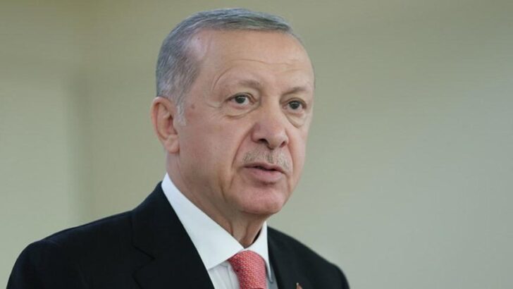 Erdoğan’dan Akkuyu Nükleer Güç Santrali’nde inceleme