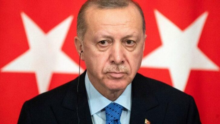 Erdoğan’dan doğalgaz açıklaması