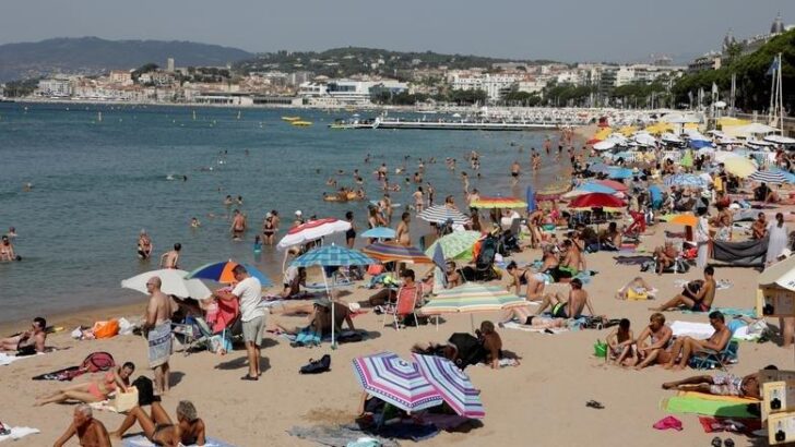Fransa’da kuraklık ve yangınlardan sonra plajlarda “ısıran balık” paniği başladı