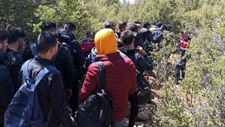 İzmir’de 446 kaçak göçmen yakalandı