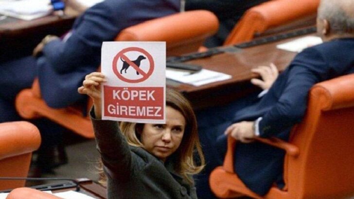 ‘Köpek giremez’ afişi açtı Soylu’ya danışman oldu