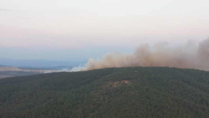 Manisa’da ormanlık alanda yangın