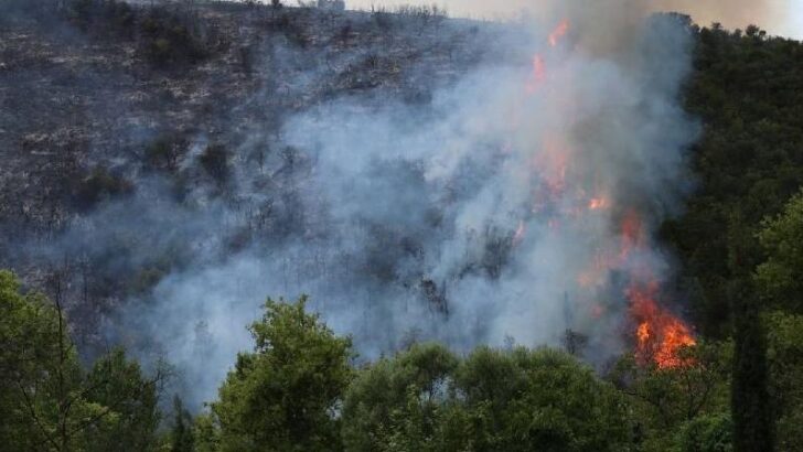 Ormanlık alanda çıkan yangına müdahale sürüyor