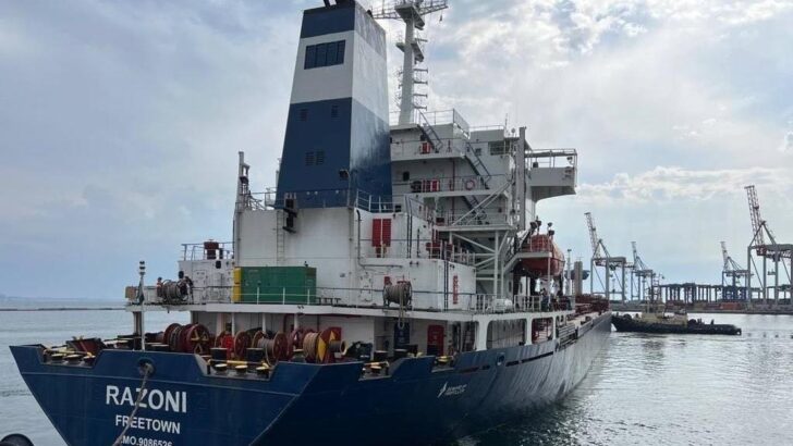 Tahıl sevkiyatı için Ukrayna’dan yola çıkan gemi İstanbul açıklarında