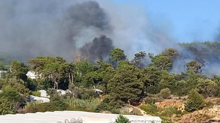 Antalya’da orman yangını