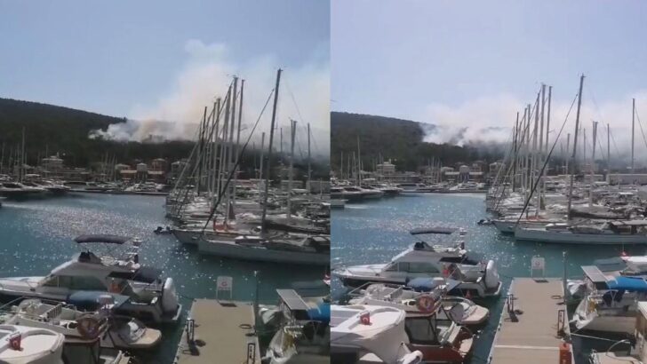 Çeşme’de orman yangını