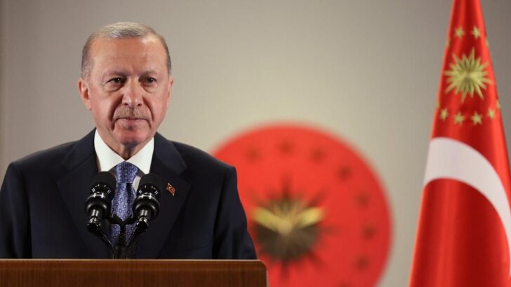 Erdoğan: Başka ülkelere gidenlere acıyoruz