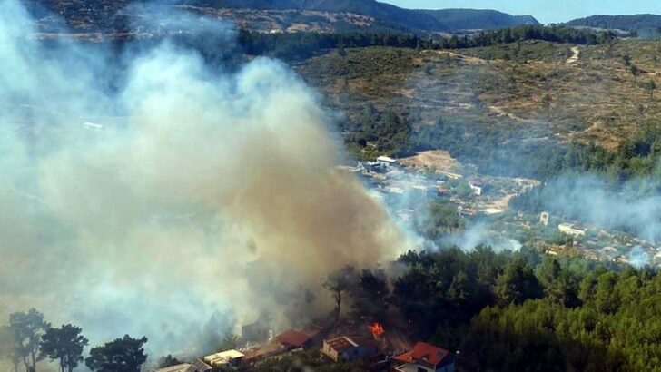 İzmir’de orman yangını çıktı