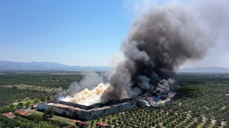 Manisa’da orman ürünleri fabrikasında yangın