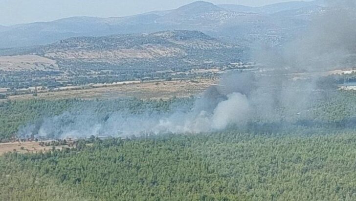 Manisa’da orman yangını başladı