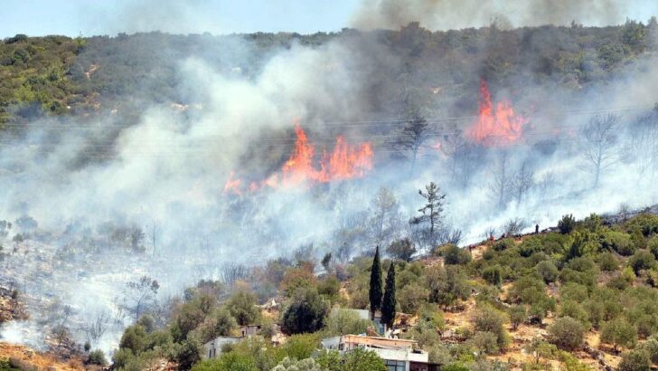 Meteoroloji’den Muğla’da yangın riski uyarısı