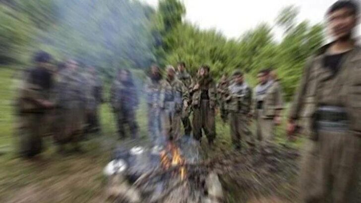 MİT’ten PKK’nın suikast timine operasyon