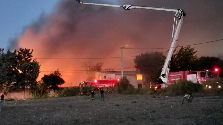 Tunceli’de orman yangını