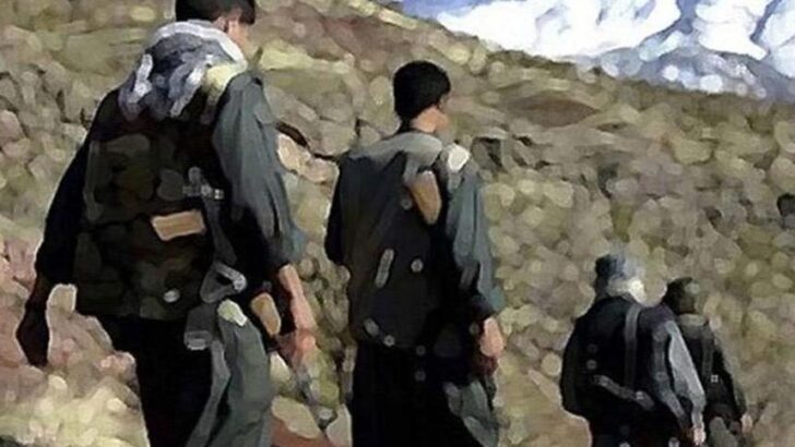 Üst düzey PKK’lı etkisiz hale getirildi