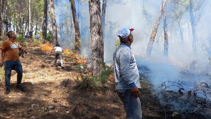 Antalya’da çıkan orman yangını kontrol altına alınmaya çalışılıyor