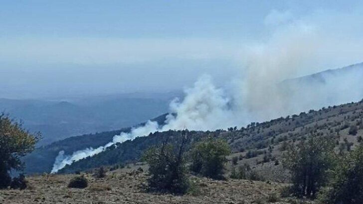 İzmir’de orman yangını: Havadan ve karadan müdahale başladı