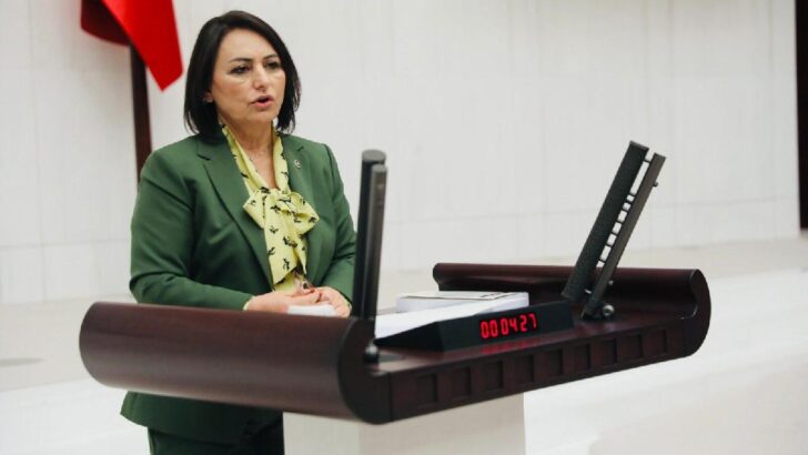 Meclis’te ‘evdeki yabancı’ tepkisi