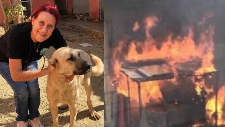 ‘Şila’yı kulübesinde yaktılar