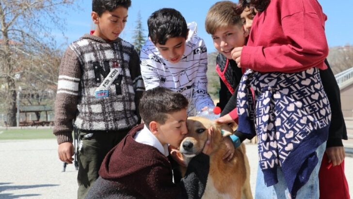 Dövdükleri köpekler, şimdi en yakın dostları