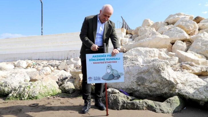 Mersin’de Akdeniz fokları için uyarı tabelası dikildi