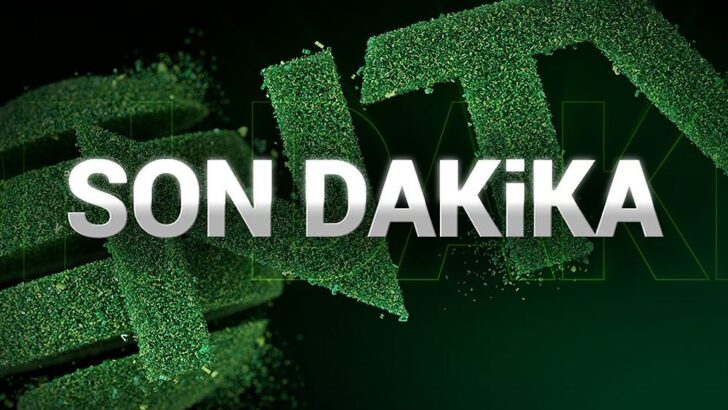 SON DAKİKA: Fenerbahçe Alagöz Holding, Avrupa şampiyonu