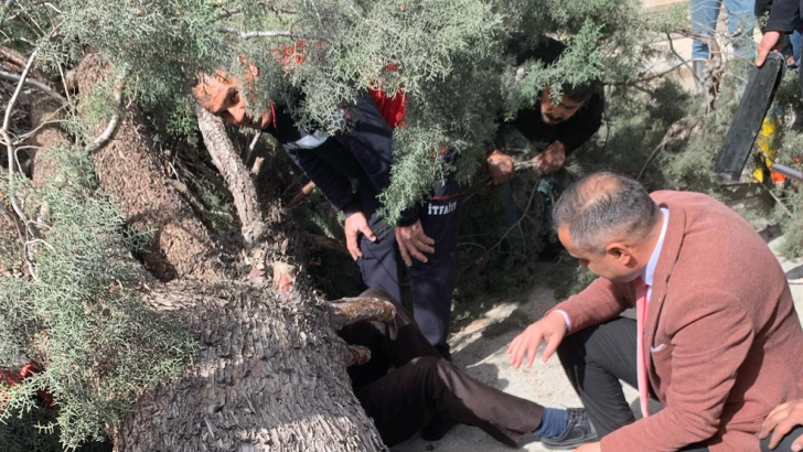 Belediye başkanı adayı ve oğlu devrilen ağacın altında kaldı