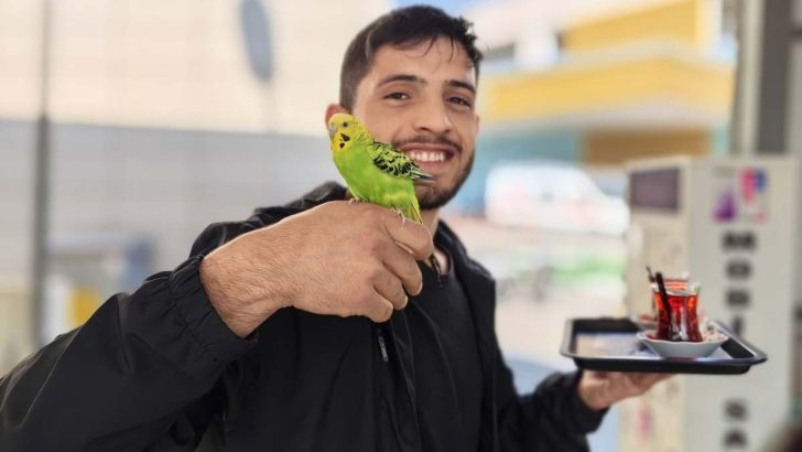Çay servisini muhabbet kuşuyla birlikte yapıyor