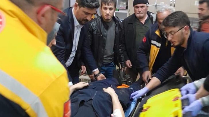 Domuz sürüsü yola fırladı, işçiler yaralandı