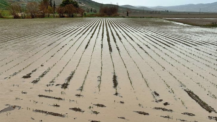 Osmaniye’de tarım arazileri sular altında kaldı