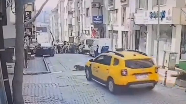 Yolda yatan köpeği acımasızca ezdi