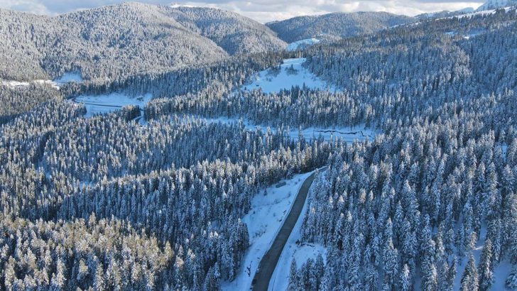 Ilgaz Dağı Milli Parkı beyazlara büründü