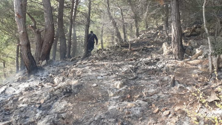 Kazdağları’nda çıkan yangın söndürüldü