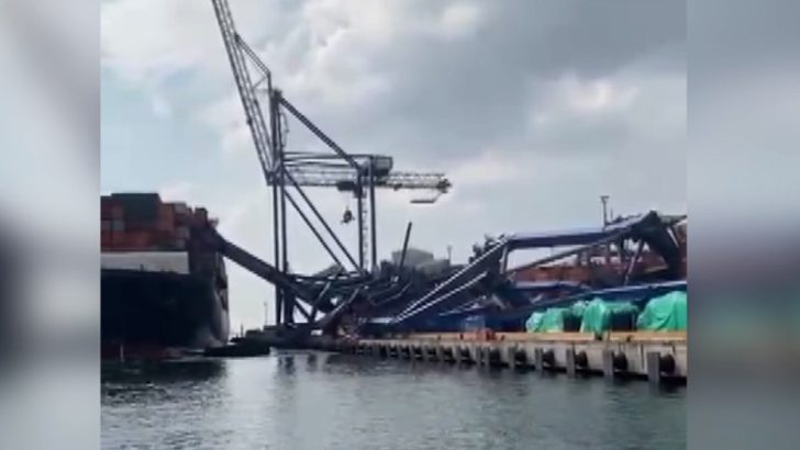 Kocaeli’de gemi kazası: Limana çarptı, vinçler devrildi