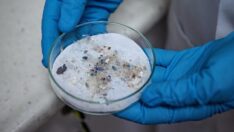 Çamaşır suyundaki mikroplastikler güneş enerjisine dönüştürüldü