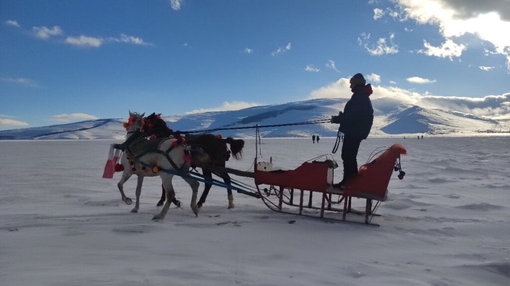 Çıldır Gölü buz tuttu, atlı kızak seferleri başladı