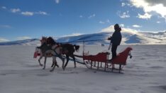 Çıldır Gölü buz tuttu, atlı kızak seferleri başladı