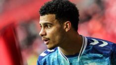 Elayis Tavsan, Türk statüsünde oynayacak