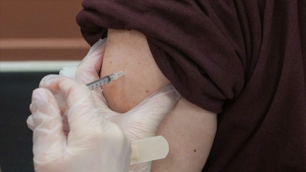 İstanbul’da kuduz alarmı: 2025 yılında yaklaşık 124 bin kişi hastanelere başvurdu